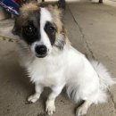 정왕지구대 이미지