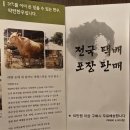 참한우촌 | 안성마춤 한우촌2 밀키트 후기 안성맛집 안성한우 안성가볼만한집 안성모임맛집