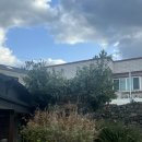 막다른 둥지 이미지