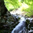 초록공원 이미지