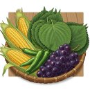 선명한마트 이미지