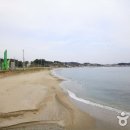 봉평해수욕장 이미지