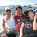 장고도8 이미지