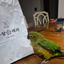 여주-0917 | 가을 일상 정리 (1)