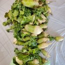 회동농장 이미지