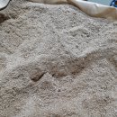 미류네 농장 이미지