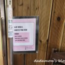 나무타는고양이와구경하는강아지뱅갈놀이터 | 영종도 아이와 갈만한곳 카페, 연세커피관광농원 방문후기