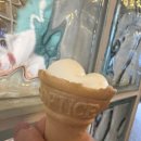 울릉도이사부호텔 이미지