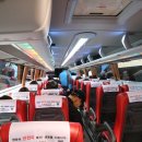 파랑새목장 | 파랑새투어 평창 대관령하늘목장,정동진,강릉항 커피거리 당일여행 후기!