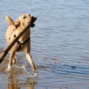 생활영어회화(초급1) 이미지