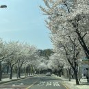 샘마을 쪽 네이버블로그