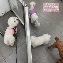 아이펫동물병원 이미지