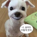 정수기하이마트 | 가전성지 삼성가전 견적후기 (삼성스토어 3호광장점)