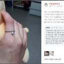오시쥬와 이미지