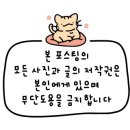 푸드항 이미지