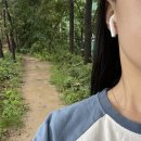 일산동 일산근린공원-2 이미지