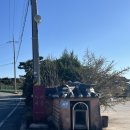 괘릉리 | [경주 외동] 경주 한옥 카페 | 경주 애견동반 카페 | “카페괘릉” 후기 | 주차 정보