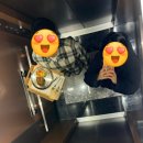 울산 베이커리 카페 ‘해월당 선암호수점’ 내돈내산 후기