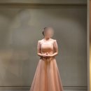 미리내아뜰리에 | W12. 아뜰리에 로리에 본식드레스 가봉 후기(실크/비즈) & 혼인신고