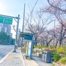 벌리교 공중화장실 이미지