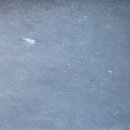 서울광택 이미지