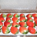 성회농장 이미지