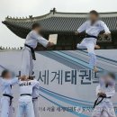 홀리드림태권도 이미지