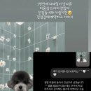 무거동 봄이네 이미지