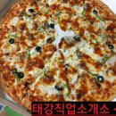 임실N치즈피자전남대