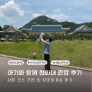 11개월 아기와 함께한 청와대 관람 후기 | 유아휴게실 위치 및 정보