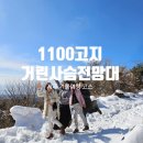 거린사슴전망대 | 제주 겨울여행 1100고지 거린사슴전망대 다녀 온 후기