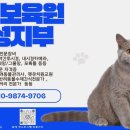 동물보육원 김포지부 이미지