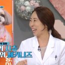 웨스턴펫