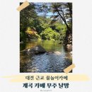 무주카페무주인 | 대전 근교 물놀이카페 추천 무주 날망 칠연계곡 후기