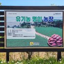 방문농장 이미지