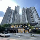 강남-188 이미지