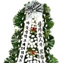 신기초교 이미지