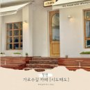 창원 가로수길 시도때도 애견동반 감성 디저트카페 후기