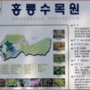4월10일 일요일 벙개있습니다 이미지