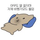 NR-24[대야로]-하-1 | 3월) 스쿠버다이빙, 수영에 이어 프리다이빙까지 물에 드가자