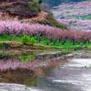 개화마을 이미지