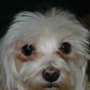 아인스 동물병원 이미지