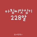 돌마레690 이미지