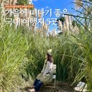 금성목장 | 국내 가을 커플 여행지 가볼만한 곳 베스트5 추천