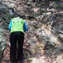 청계산 등산로 이미지