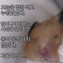 냠냠 - 안산시 단원구 | 냠냠