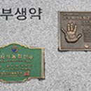 동부생약영농조합법인 이미지