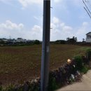 제주올레공인중개사사무소 이미지