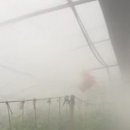 강경농장 이미지