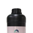 지씨인터네셔널 이미지